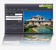 Sell Exclusive Website